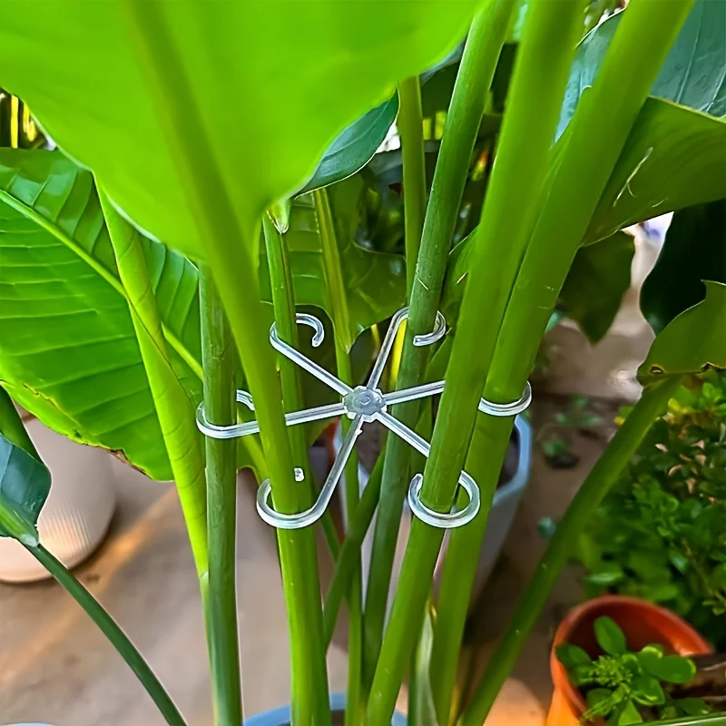 4個セット 植物茎サポートクリップ 園芸用モンステラ固定具  - Plant Parenting のレビューと価格