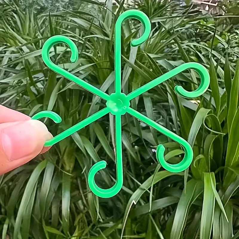 4個セット 植物茎サポートクリップ 園芸用モンステラ固定具  - Plant Parenting のレビューと価格