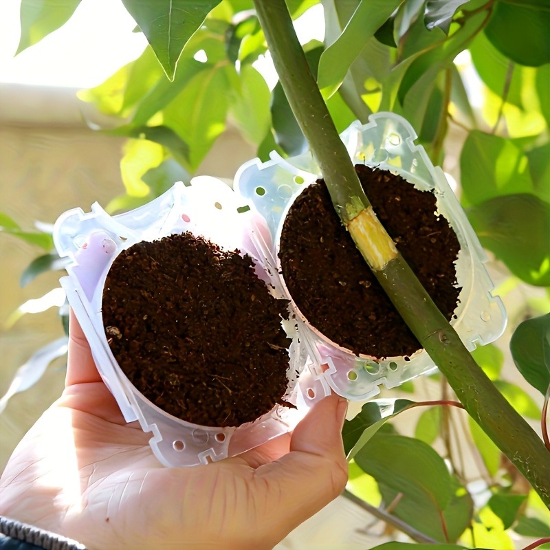 10個入り高圧植物発根繁殖ボックスキット、庭園用圧力ボール付 - Plant Parenting のレビューと価格