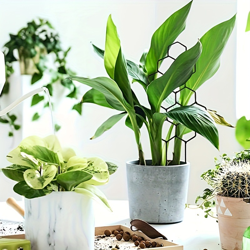 1PC ハニカムデザイン植物トレリス、鉢植えのつるや花用の防 - Plant Parenting のレビューと価格
