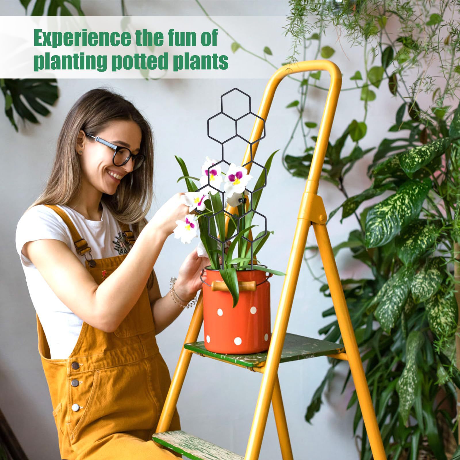 1PC ハニカムデザイン植物トレリス、鉢植えのつるや花用の防 - Plant Parenting のレビューと価格